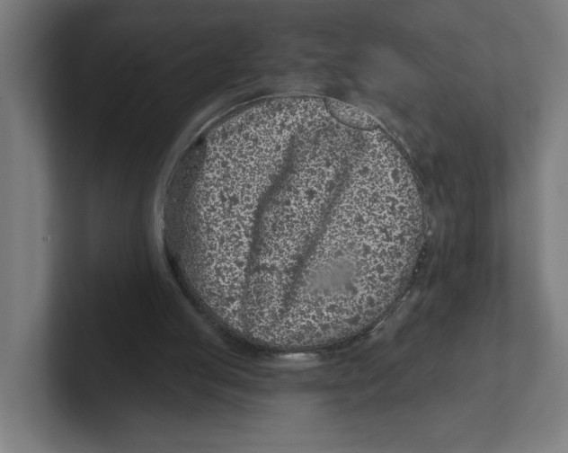 X0000102310053200808221454