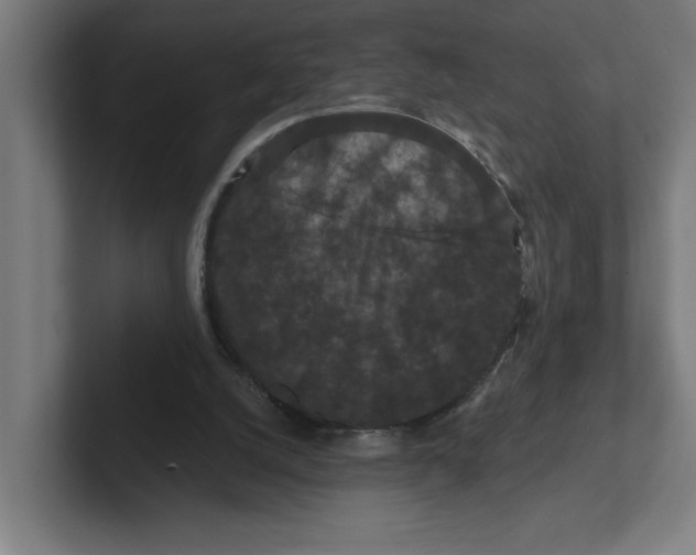 X0000102310056200808221454