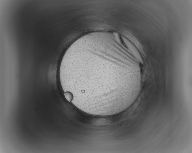 X0000102310058200808221454