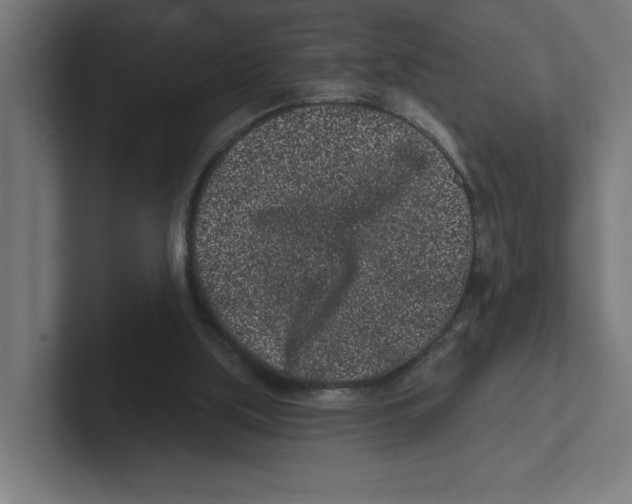 X0000102310059200808221454