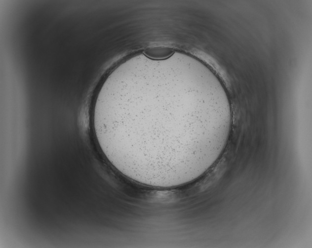 X0000102310060200808221454