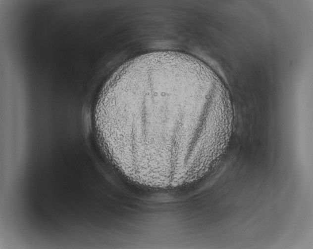 X0000102310061200808221454