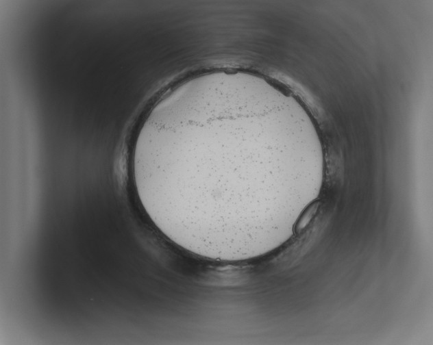 X0000102310064200808221455