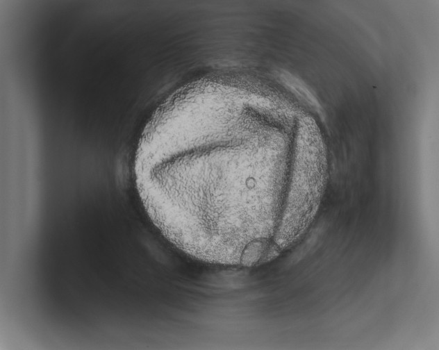 X0000102310065200808221455