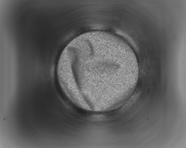 X0000102310066200808221455