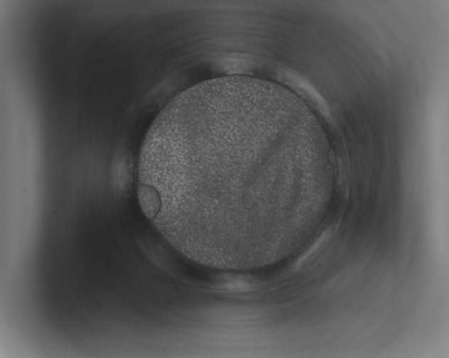 X0000102310073200808221455