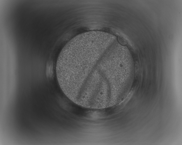 X0000102310074200808221455