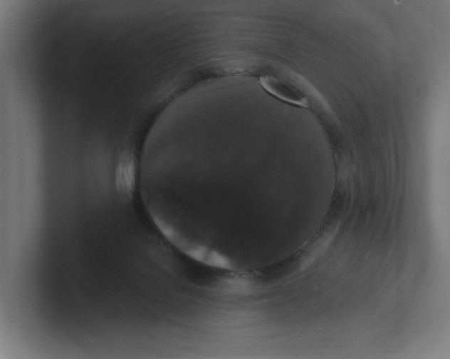 X0000102310076200808221455