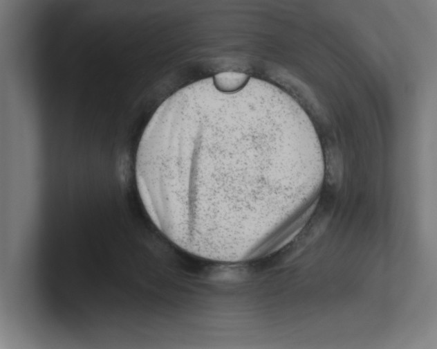 X0000102310077200808221455