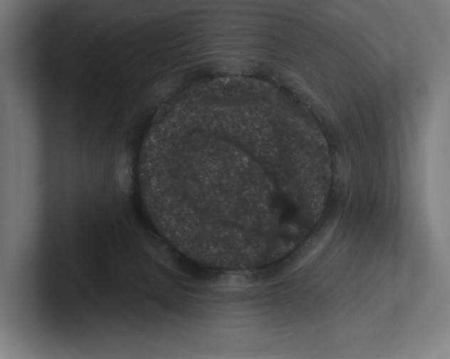 X0000102310080200808221455