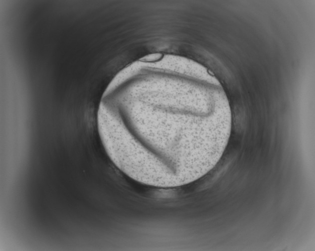 X0000102310085200808221455