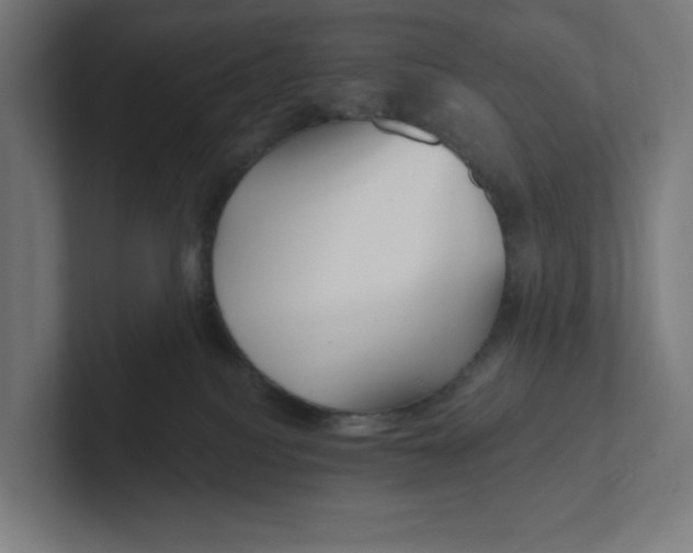 X0000102310088200808221455