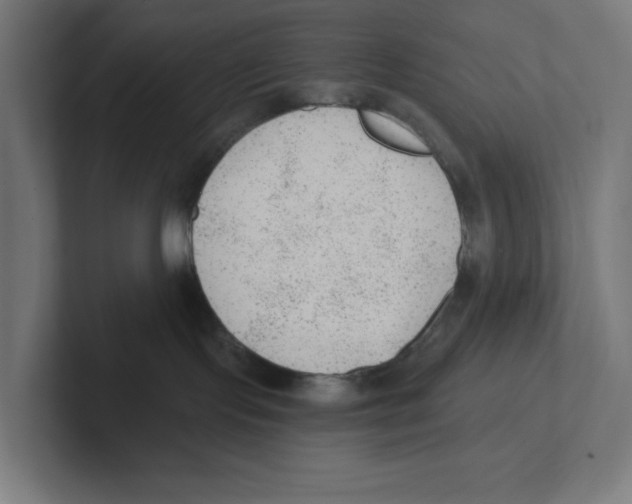 X0000102310095200808221455