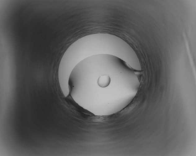 X0000102310096200808221455