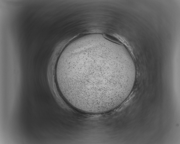 X0000102310097200808221454