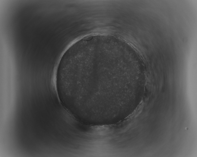 X0000102310100200808221454