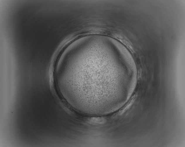 X0000102310101200808221454