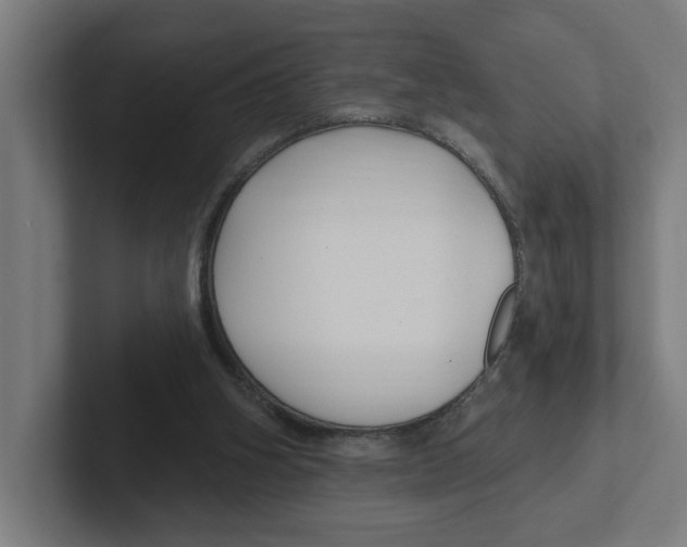 X0000102310106200808221454