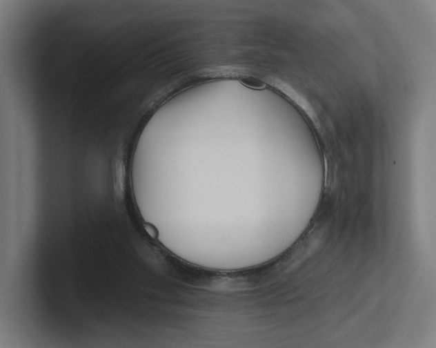 X0000102310109200808221454