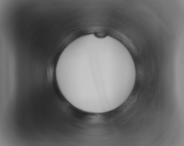 X0000102310118200808221454