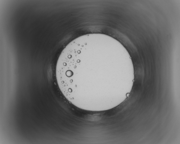 X0000102310120200808221454