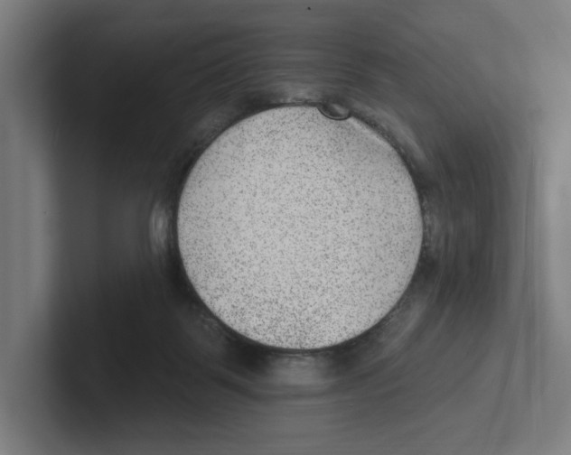 X0000102310123200808221454