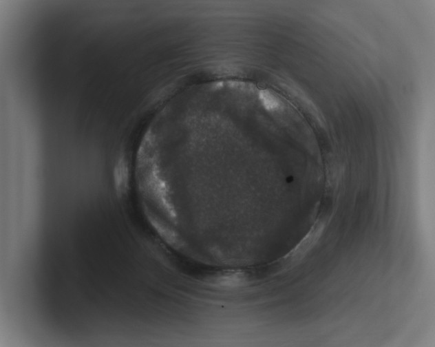 X0000102310124200808221454