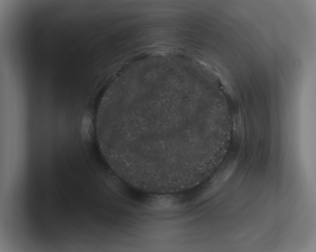 X0000102310127200808221454