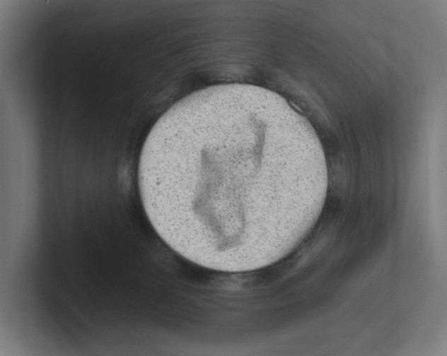 X0000102310131200808221454