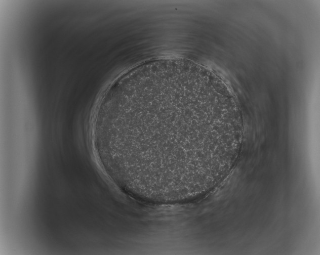 X0000102310145200808221453