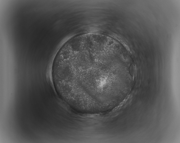 X0000102310147200808221453