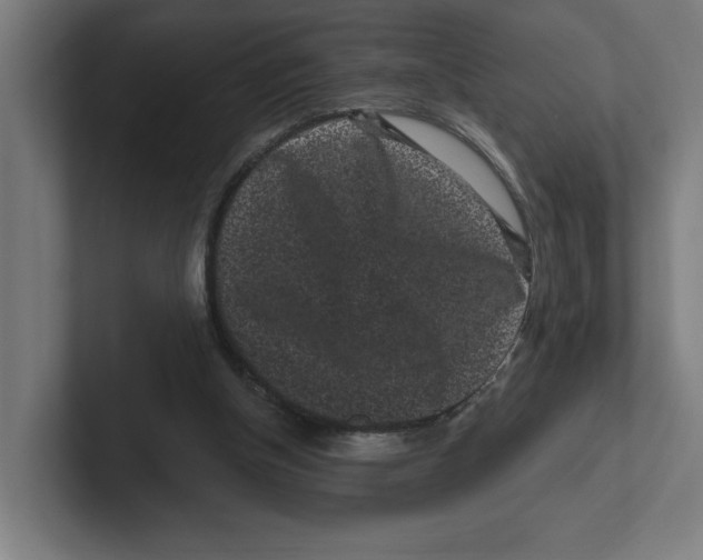 X0000102310154200808221453