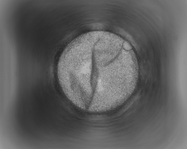 X0000102310161200808221453