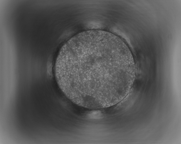 X0000102310162200808221453