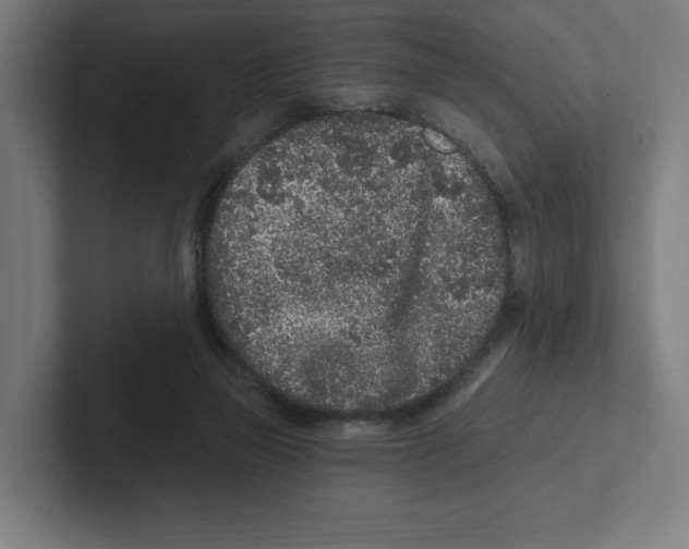 X0000102310165200808221453