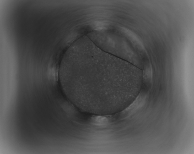 X0000102310180200808221454