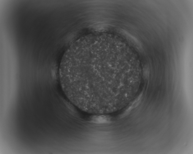 X0000102310181200808221454