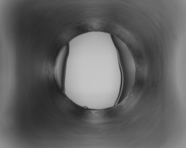 X0000102310188200808221454