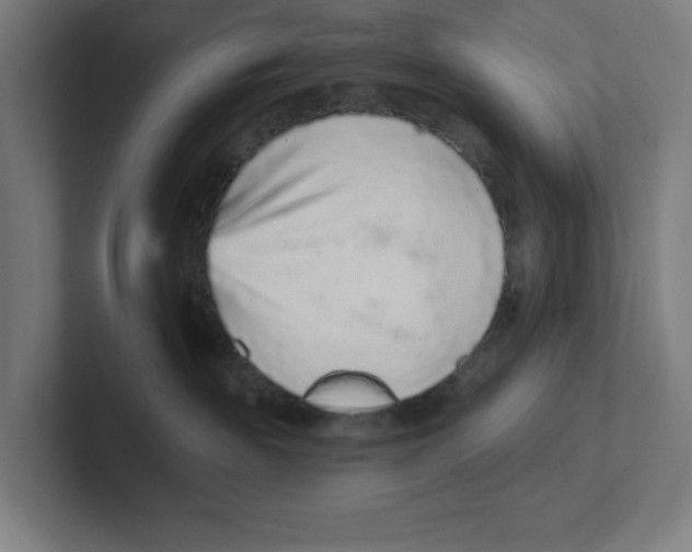 X0000102310189200808221454