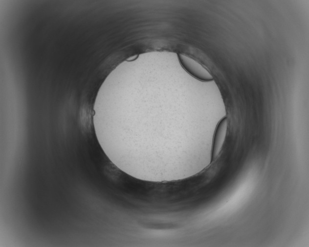 X0000102310191200808221454