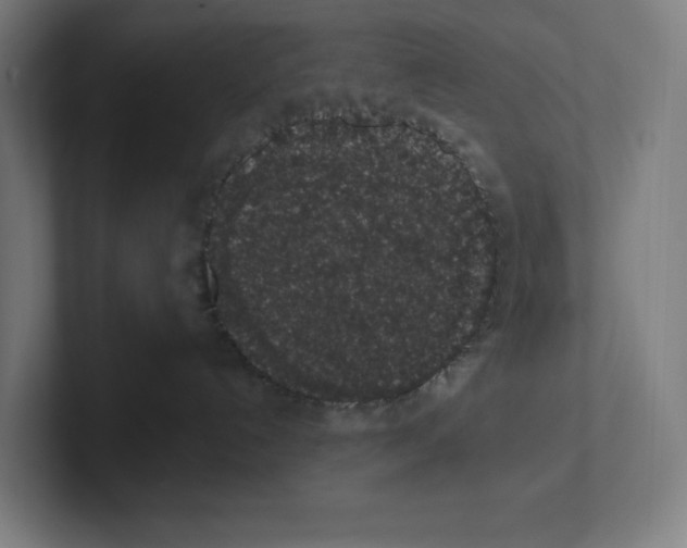 X0000102310192200808221454