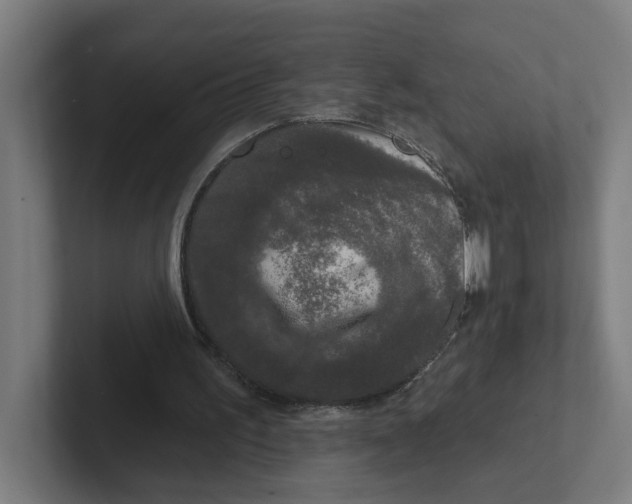 X0000102310195200808221453