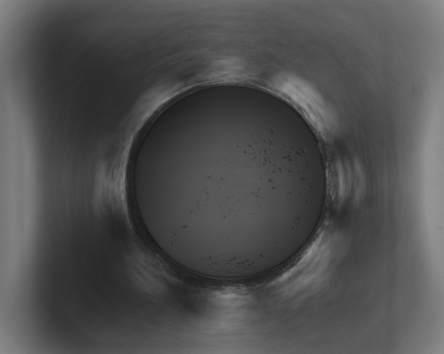X0000102310196200808221453