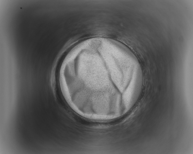 X0000102310198200808221453