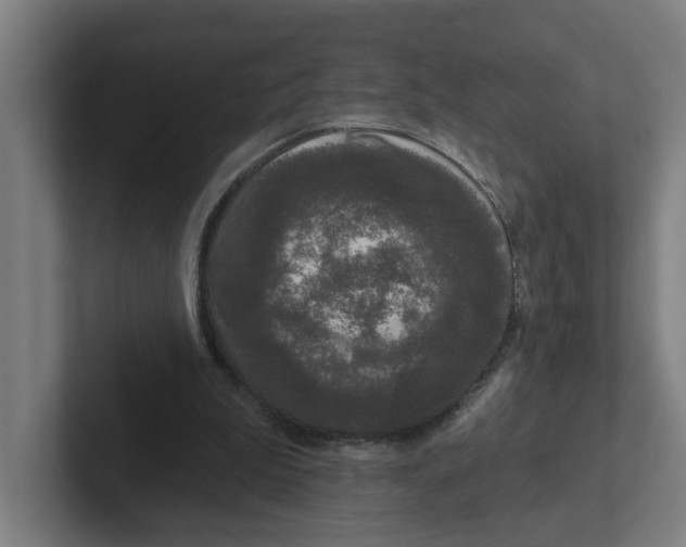 X0000102310199200808221453