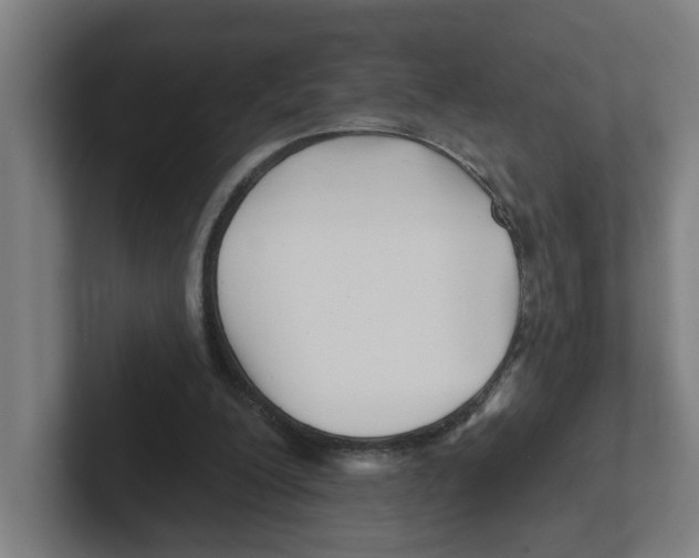 X0000102310200200808221453