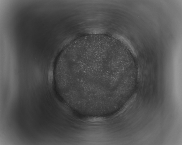 X0000102310202200808221453