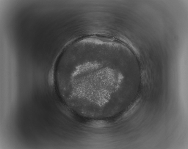 X0000102310203200808221453