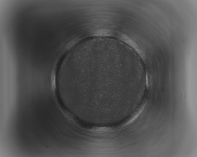 X0000102310205200808221453