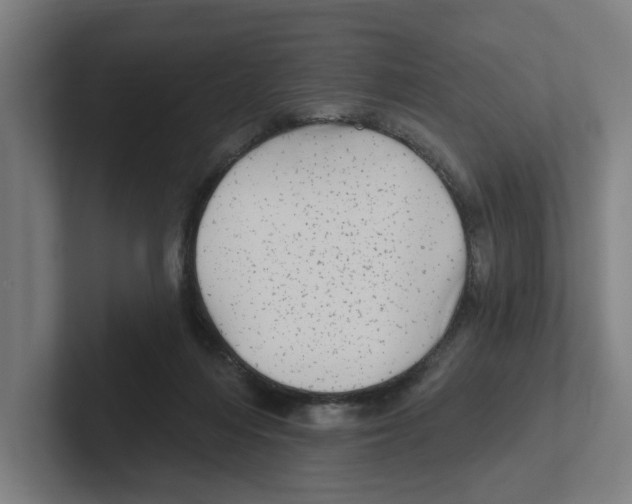 X0000102310216200808221453